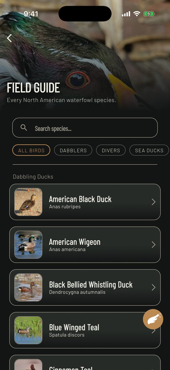 Field Guide