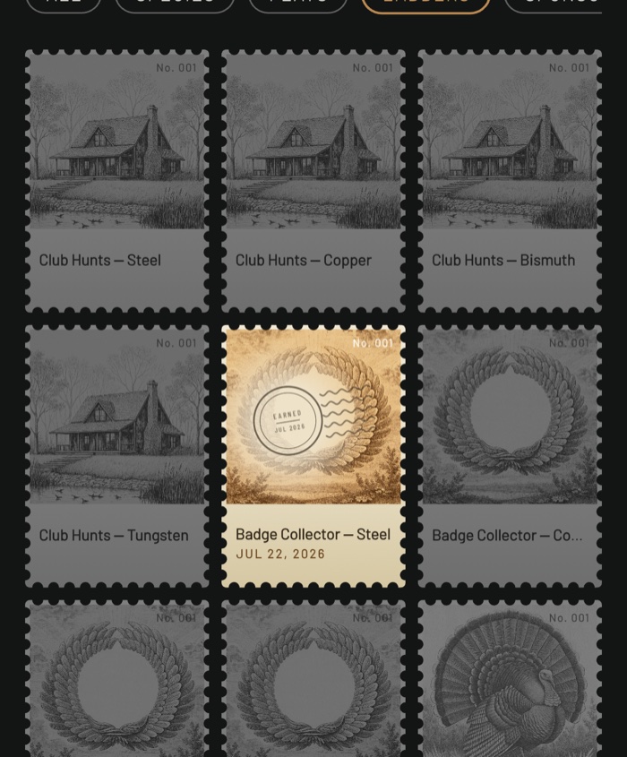 A grid of BlindBook stamps, earned and unearned